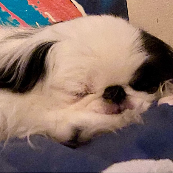 Meet your Posher, Sally - Picture 4 of 8